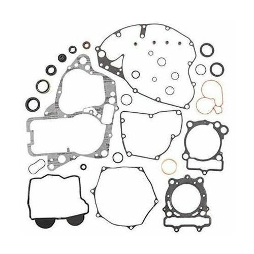 Полный комплект прокладок с сальниками RMZ250 16-17
