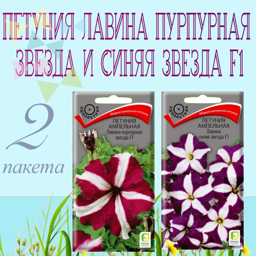 набор семян семена однолетних цветов петуния флокс цинния амарант и др Петуния ампельная Лавина Пурпурная звезда и Синяя звезда F1 2 пакета по 10шт семян