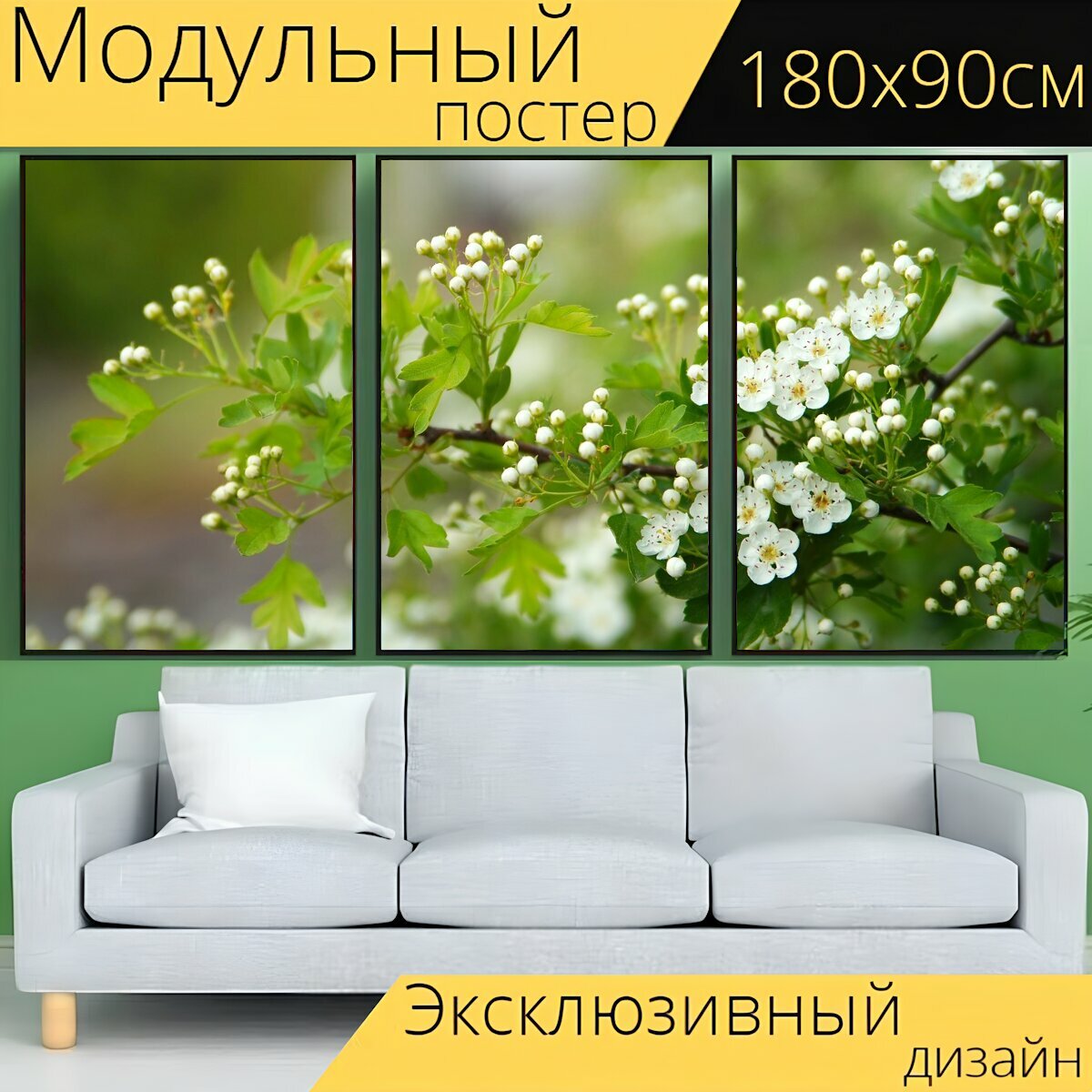 Модульный постер "Природа, завод, цветок" 180 x 90 см. для интерьера