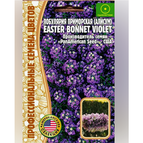 Алиссум (лобулярия) Easter Bonnet Violet 20 шт. Редкие семена (2шт в заказе)