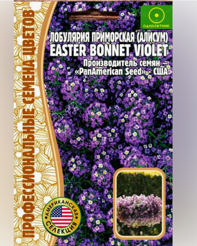 Алиссум (лобулярия) Easter Bonnet Violet 20 шт. Редкие семена (2шт в заказе)