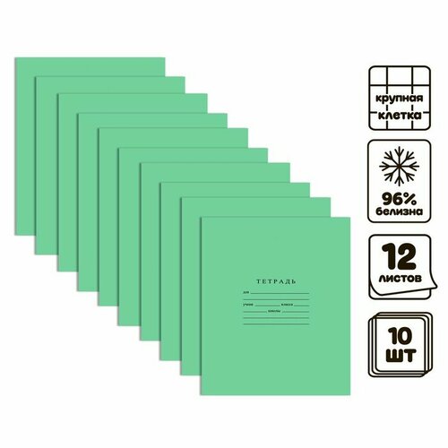 Комплект тетрадей из 10 штук 12 листов в крупную клетку Зелёная обложка Бумажная фабрика, 60 г/м2, блок офсет, белизна 96%