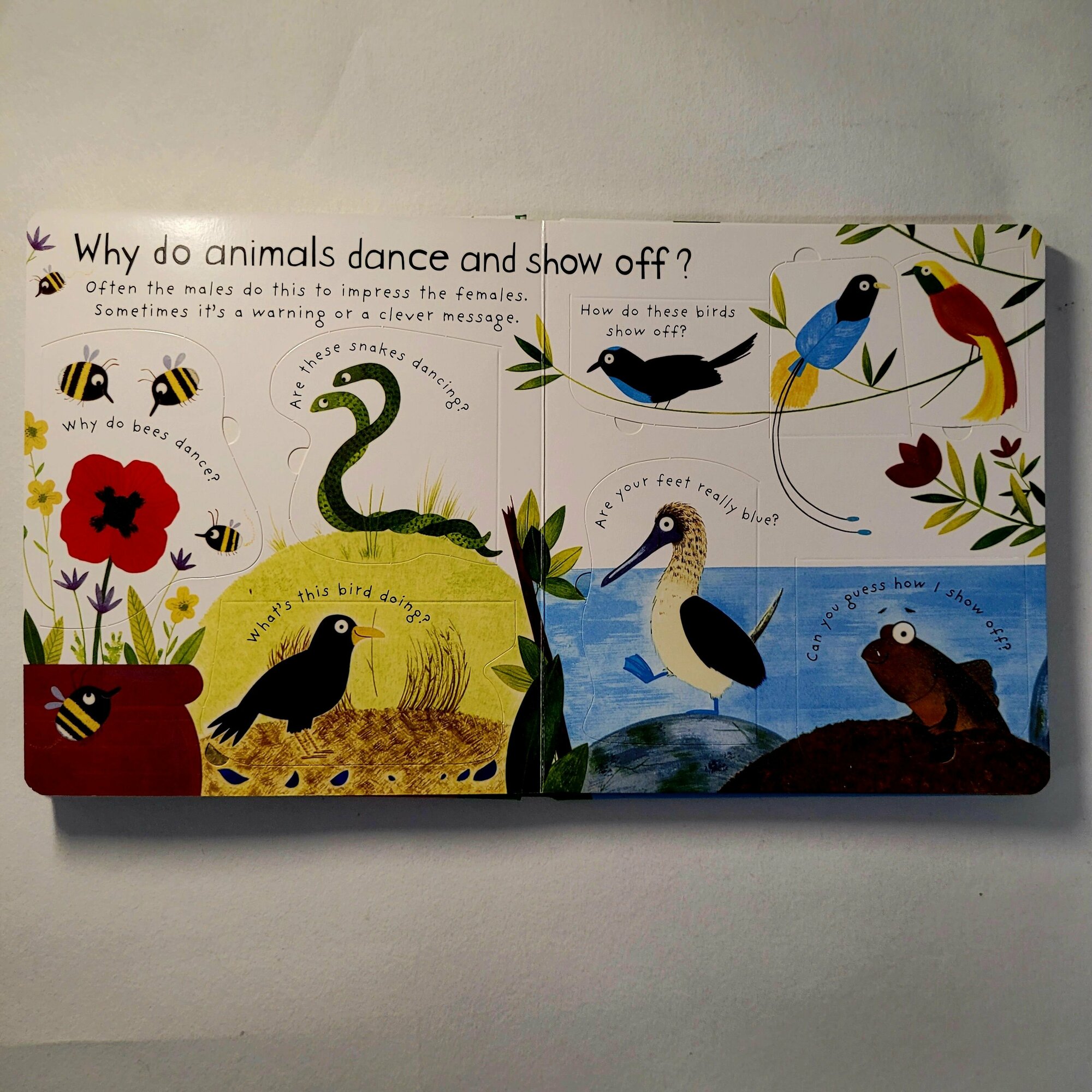Daynes K. "How Do Animals Talk?" картон - фото №11