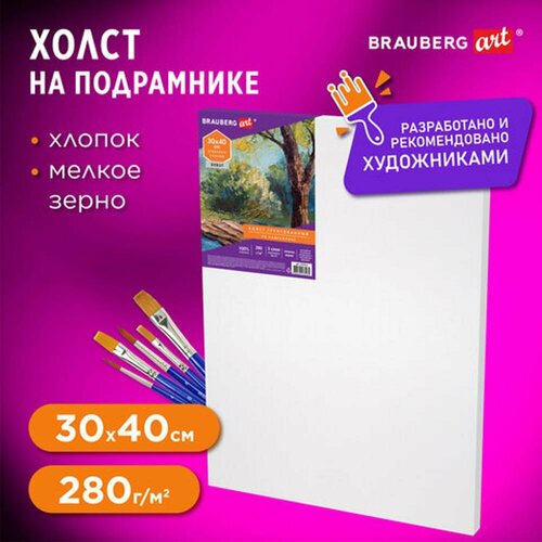 Холст на подрамнике BRAUBERG ART DEBUT 30х40см грунтованный 100% хлопок мелкое зерно, 2 шт