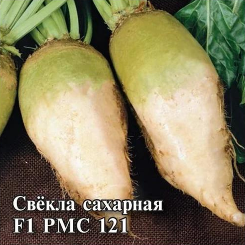 Свекла Сахарная F1 РМС 121 ХИТ х3 (семена).