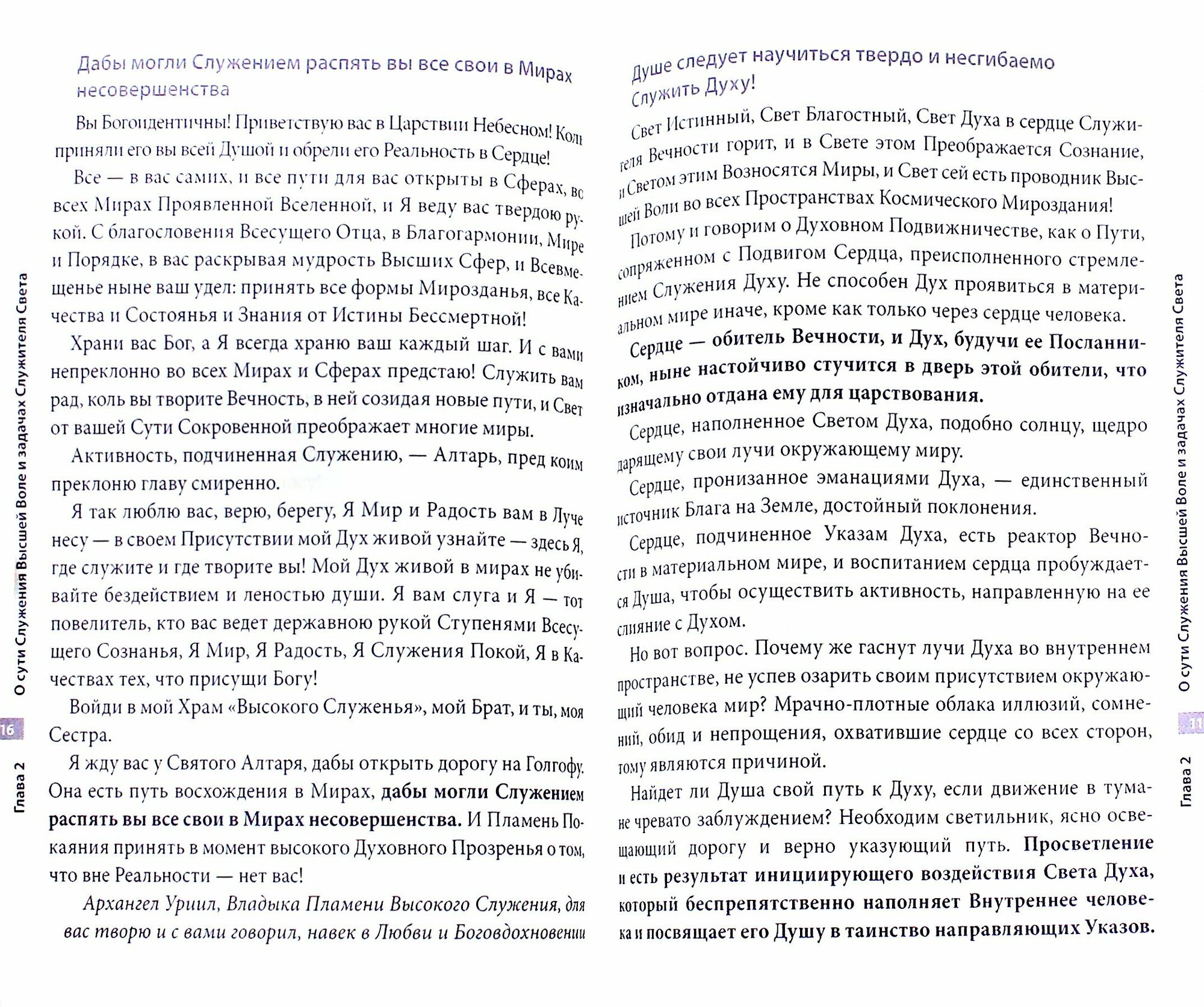 Практическое пособие для Служителей Света,или Честь имею служить - фото №3