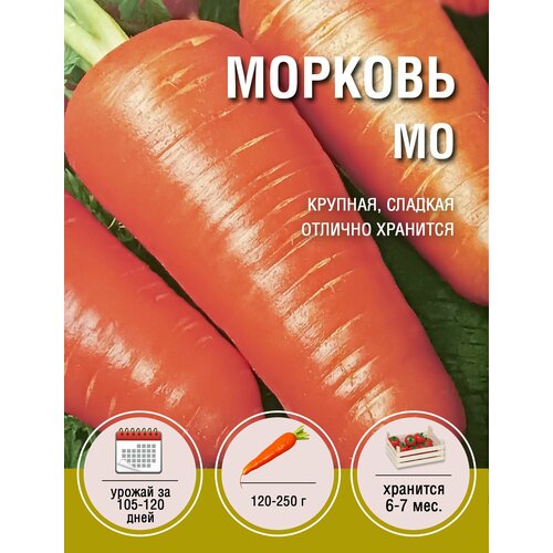 Морковь МО (1 пакет по 2гр) семена морковь мо 2гр цп