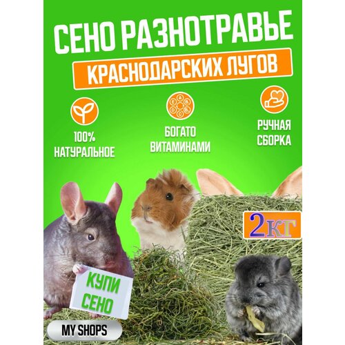 Сено Разнотравье 2кг