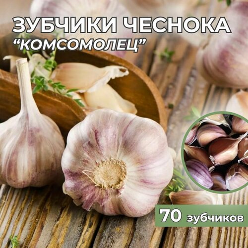 Зубчики чеснока на посадку Комсомолец 70шт