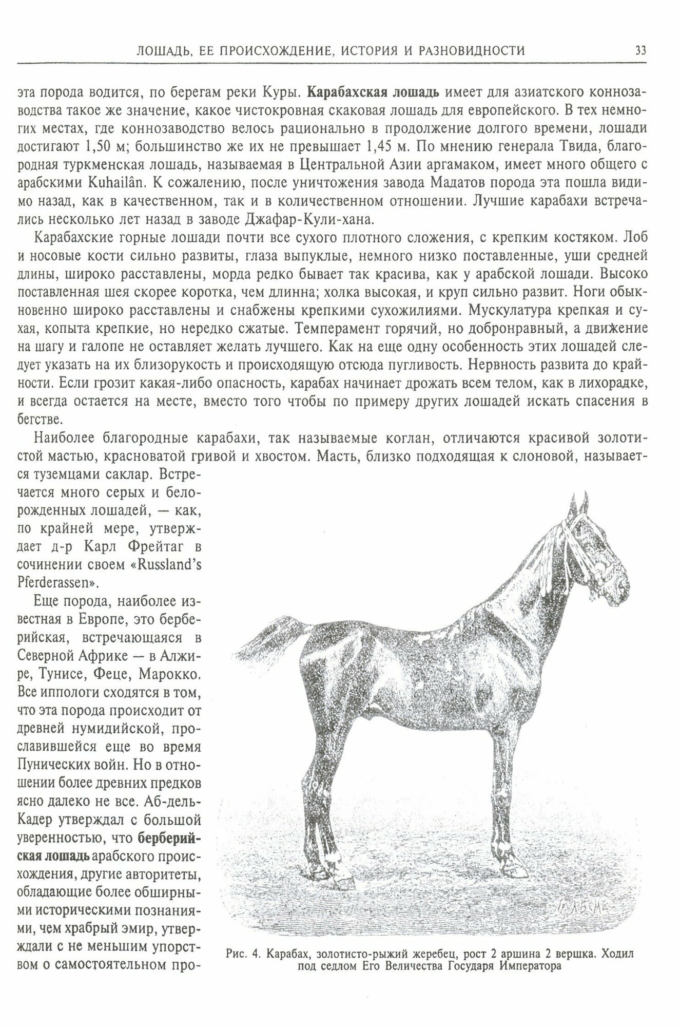 Книга о лошади. Настольная книга для каждого коннозаводчика - фото №3