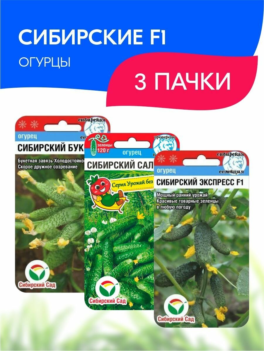 Набор семян Сибирский сад Сибирские огурцы F1, 3 пачки