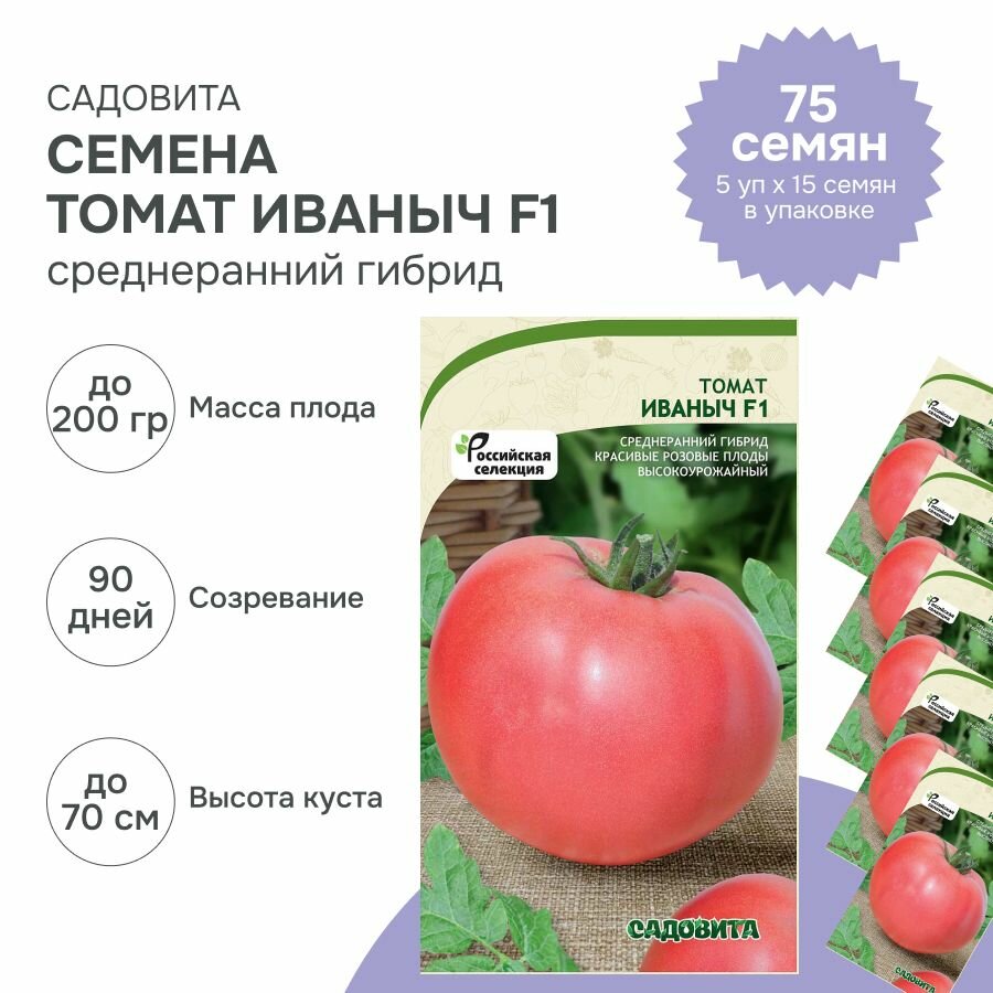 Семена томатов Иваныч F1