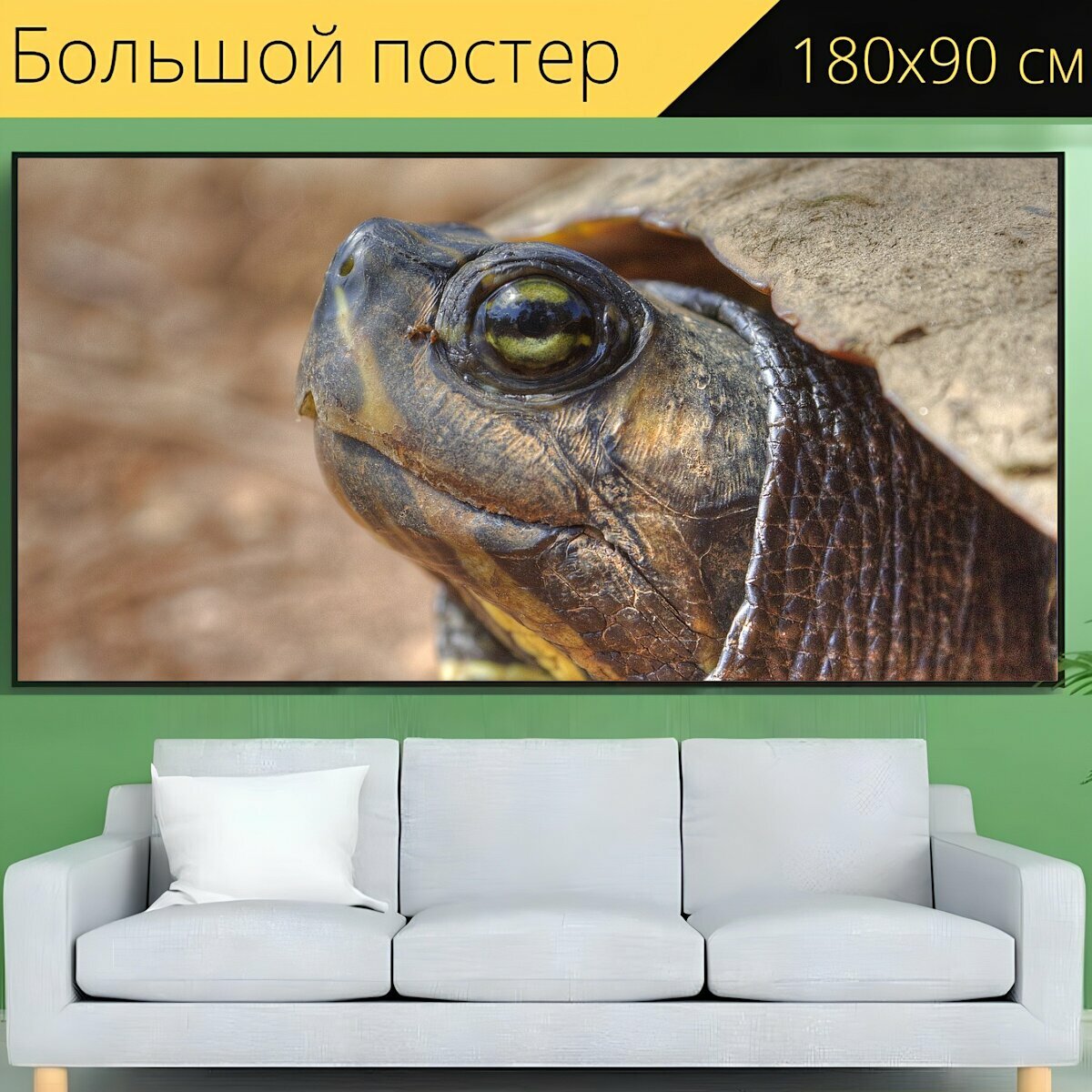 Большой постер "Черепаха, закрыть, дикая природа" 180 x 90 см. для интерьера