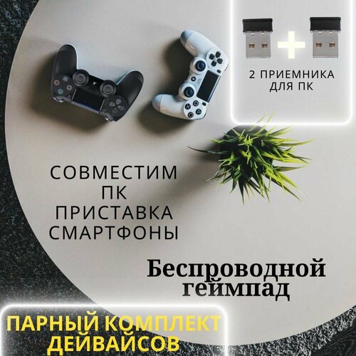 Комплект беспроводных геймпадов для Playstation 4 черный и белый 2 шт 310000₽