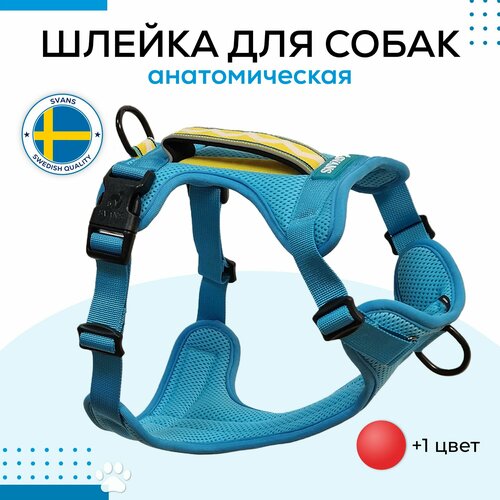 Шлейка для собак анатомическая со светоотражающими элементами, голубая, размер M