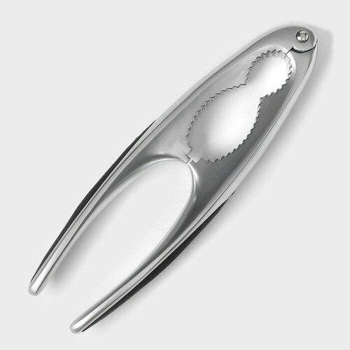 Орехокол Veil цвет серый 518₽