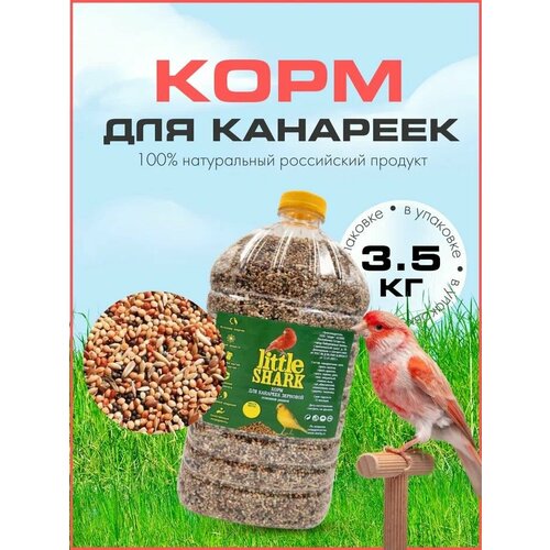 лакомство для птиц jr farm для волнистых попугаев и канареек лакомая шишка 1шт 0 16 кг 2 штуки Сухой корм для канареек щеголей и домашних птиц 3,5 кг