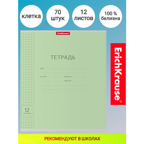 Тетрадь 12 листов в клетку с линовкой. ErichKrause® 