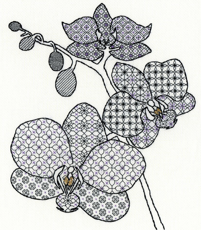 Blackwork Orchid XBW2