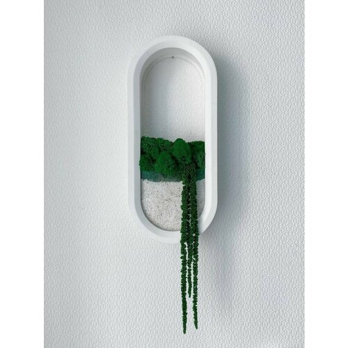 Настенное кашпо со мхом и амарантом 3150₽