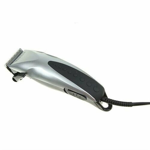 Kelli KL-7003 104900₽