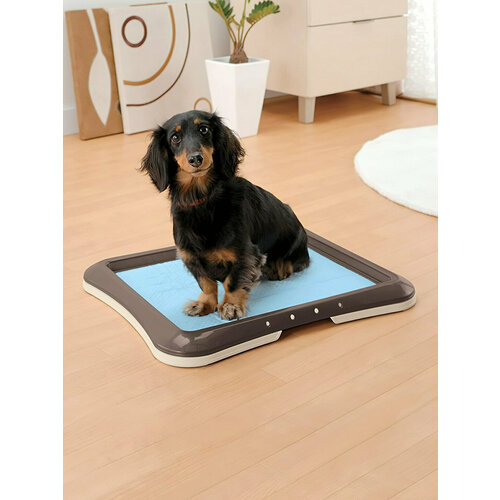 Туалет-лоток для собак 48х35х4 см коричневый 2107₽