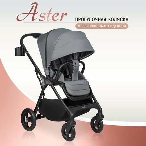 Прогулочная коляска Aimile Aster серый 16450₽