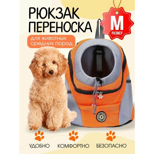 Рюкзак переноска для собак и кошек
