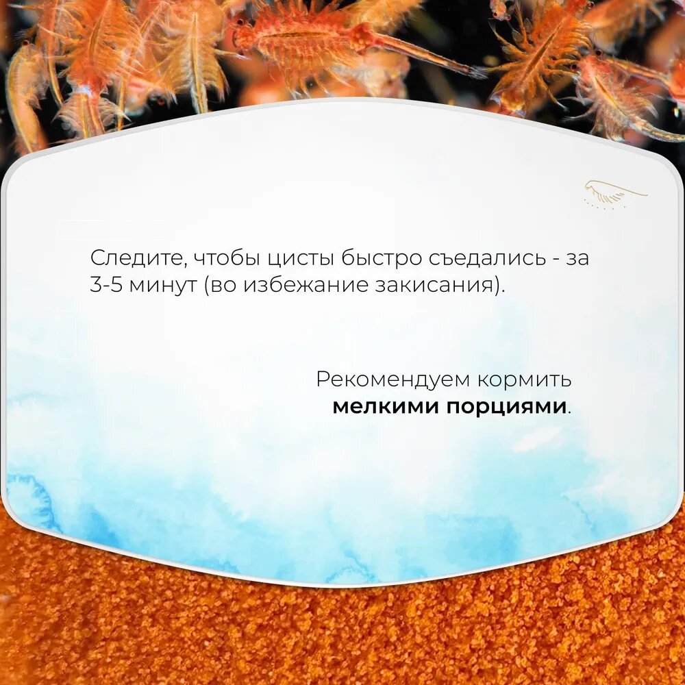 Декапсулированные яйца артемии (цисты) - корм для рыб "Сибирский дар" Artemia Salina, 250 мл - для мальков, кораллов, ракообразных - фотография № 9