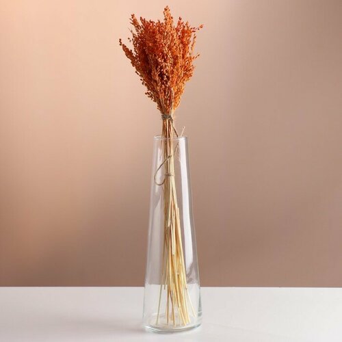 Набор сухоцветов Просо банч длина 45 - 6 см оранжевый 575₽