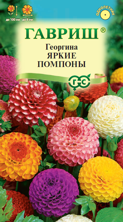 Семена Георгина Яркие помпоны 02г Одн смесь 100см (Гавриш)
