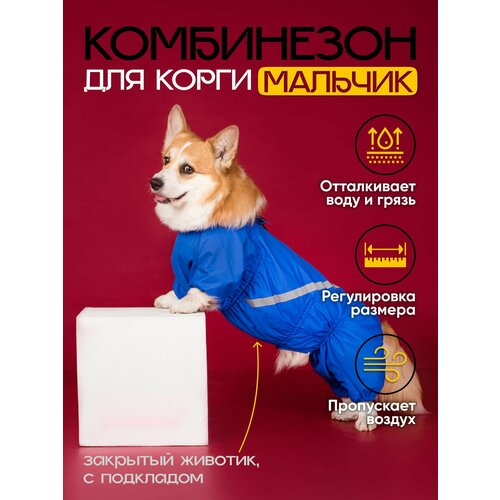 Водоотталкивающий комбинезон DiploDog для Корги (Пол: мальчик), Одежда для Корги (Пол: мальчик)