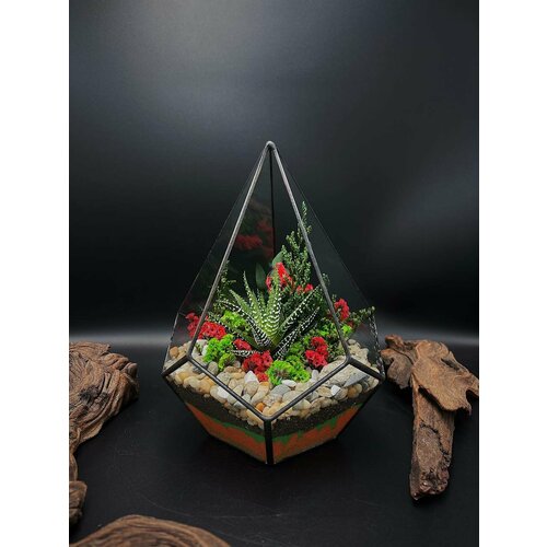 Флорариум с теневыносливой хавортией от Flolefor 