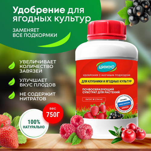 ЦИМУС - весеннее удобрение подкормка для клубники и ягодных культур 750 г