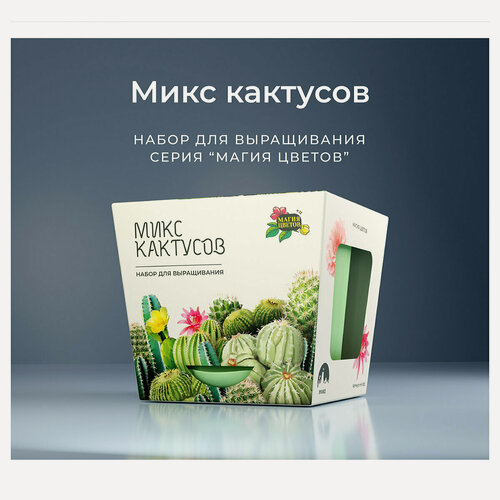 Изображение товара Магия Цветов mf-003-KL42 Набор для выращивания кактусов микс полный комплект для дома