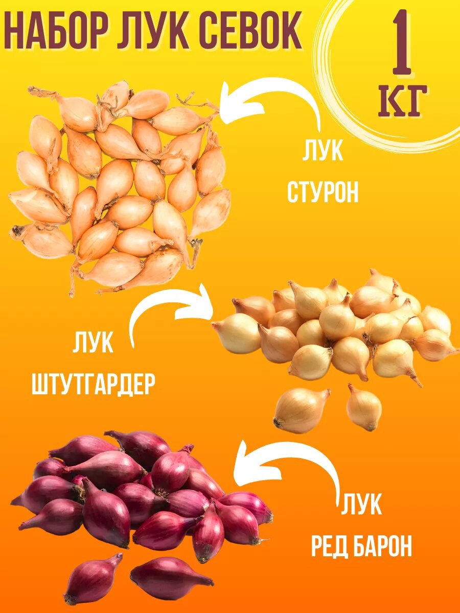Набор Лук Севок 1 кг
