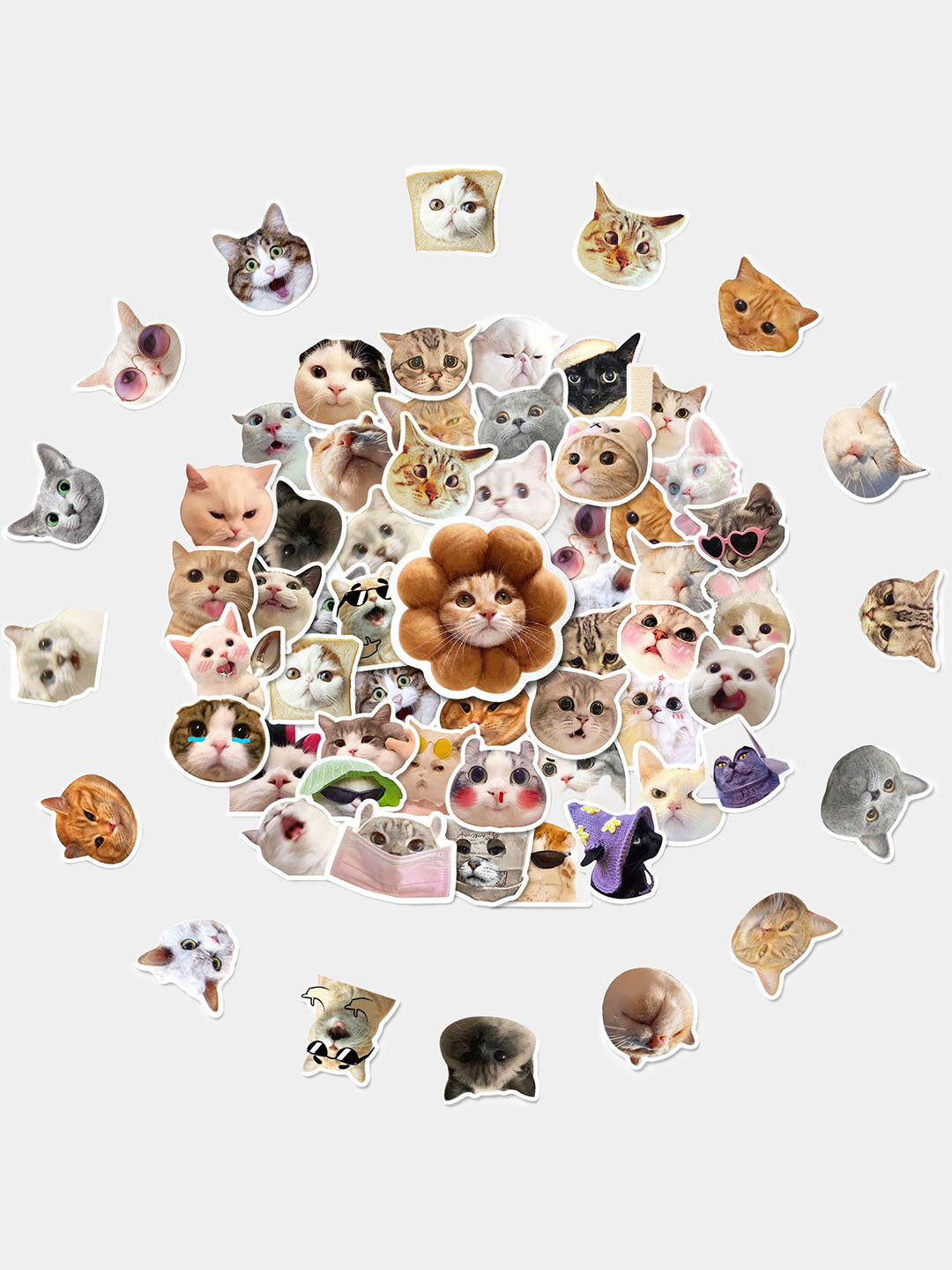 Наклейки стикеры "Мемы, прикол, смешные картинки, милые кошки, котята" - Бежевый