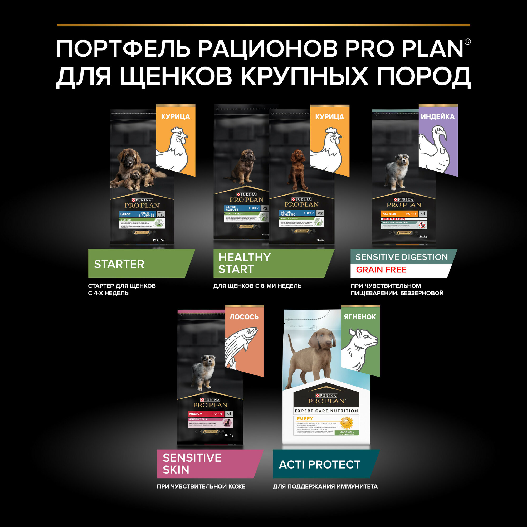 Сухой корм Pro Plan для щенков крупных пород, курица, 12кг Purina ProPlan - фото №9