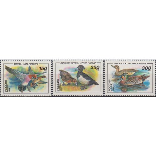 Почтовые марки Россия 1994г. Утки Утки MNH почтовые марки южная корея 1994г международный год семьи утки птицы mnh