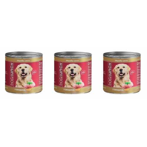 Dog Lunch Корм консервированный для собак Говядина в соусе, 750 г, 3 уп