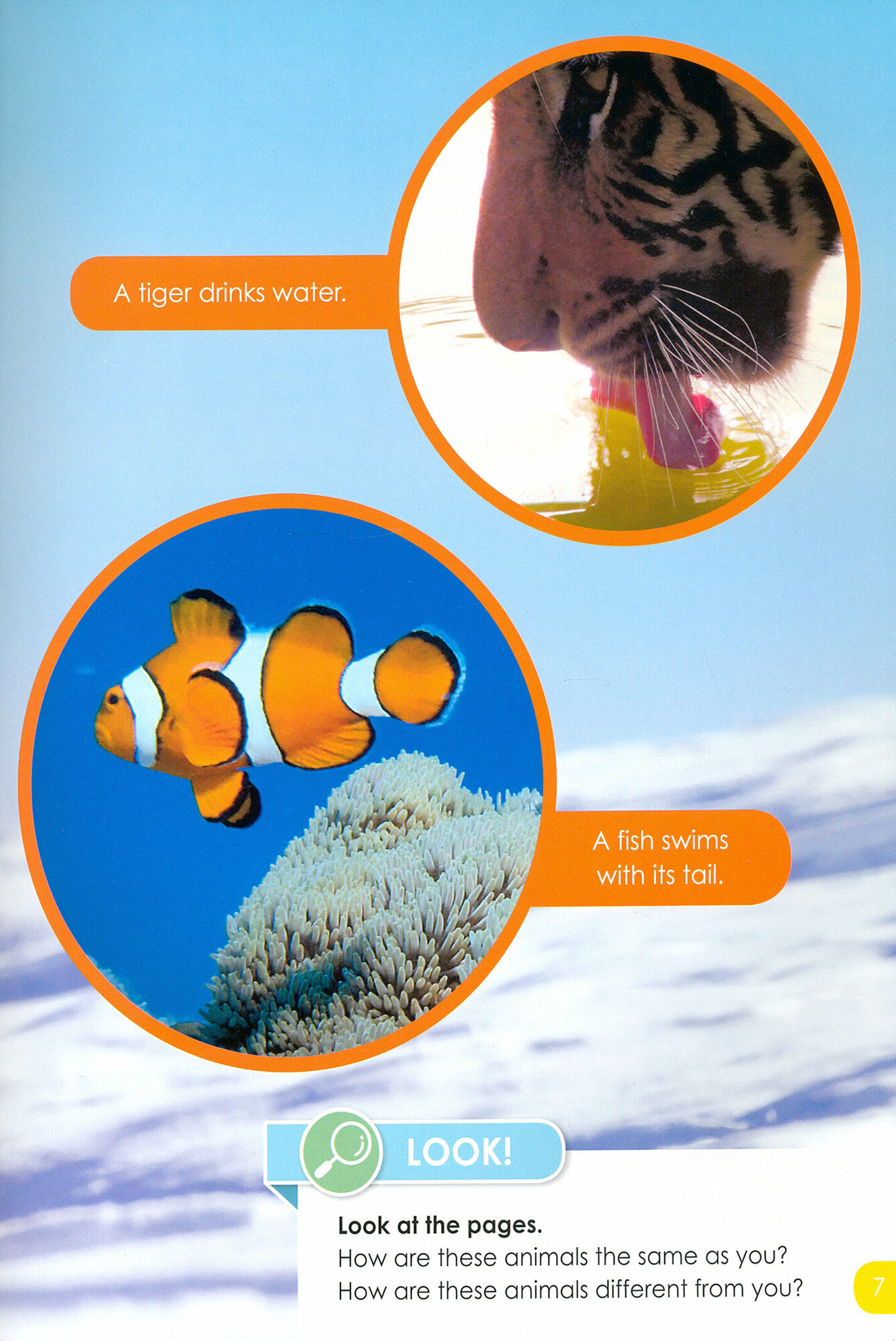 Do You Know? Animals and Their Bodies - фото №3