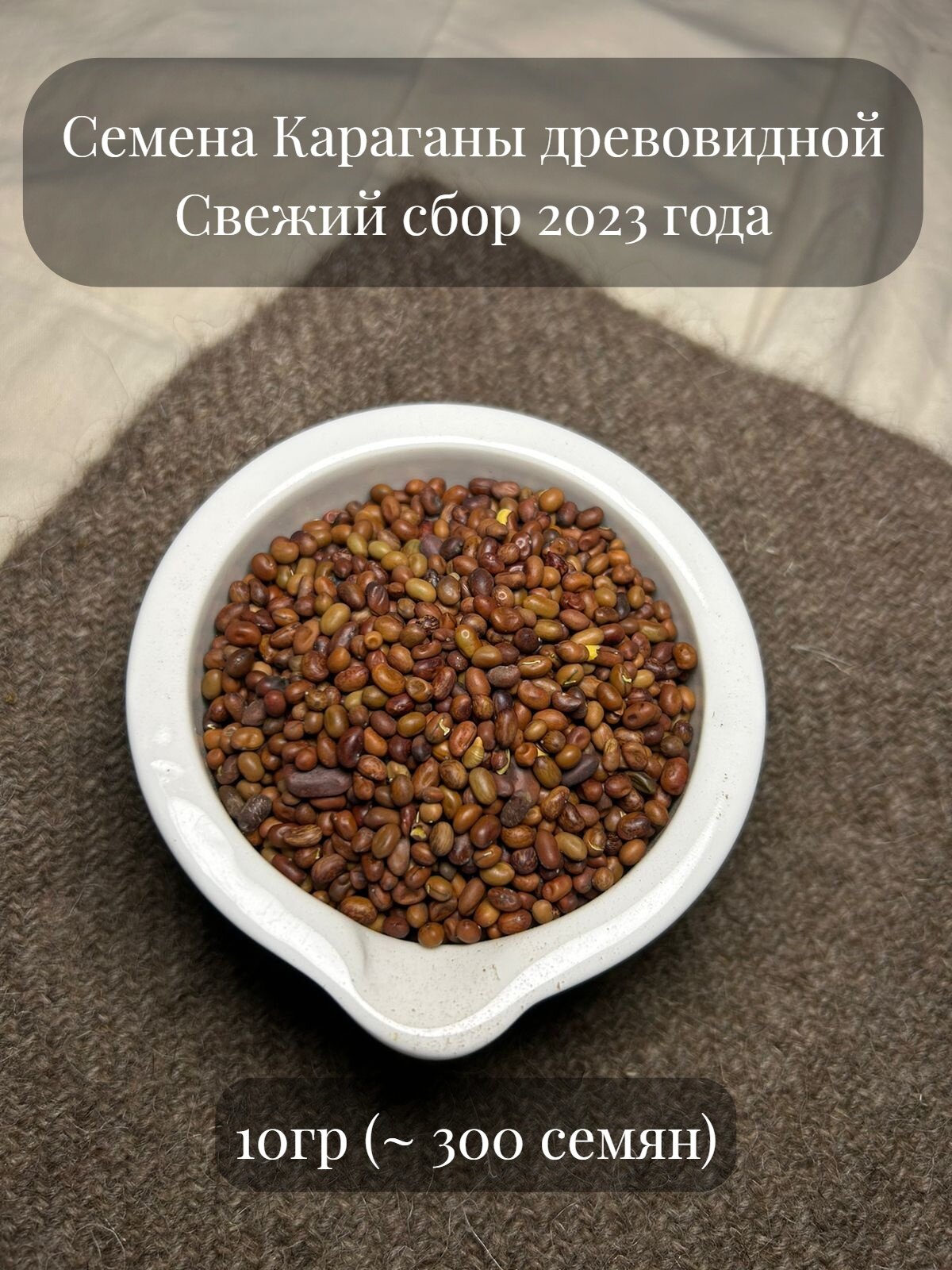 Семена Караганы древовидной или Акации желтой 10 грамм (примерно 300 шт)