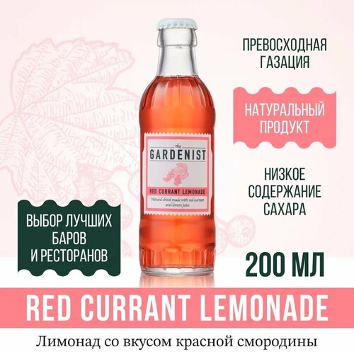 Газированный напиток THE GARDENIST Red Currant Lemonade 20 шт, Россия