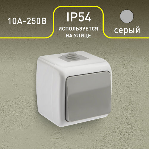 фото Выключатель Intro Atlantic 5-104-03 двойной, 10А-250В, IP54, открытой установки, серый