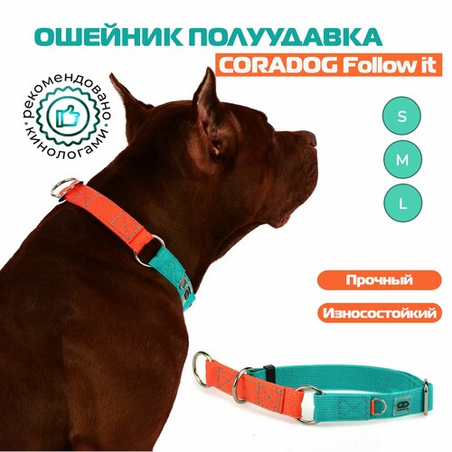 Ошейник-полуудавка, мартингейл, CORADOG Follow it, для маленьких и средних собак, бирюзовый оранжевый, размер S 27-38 см, ширина 2см