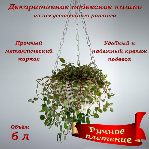 Кашпо подвесное d 30 см белый 4420₽