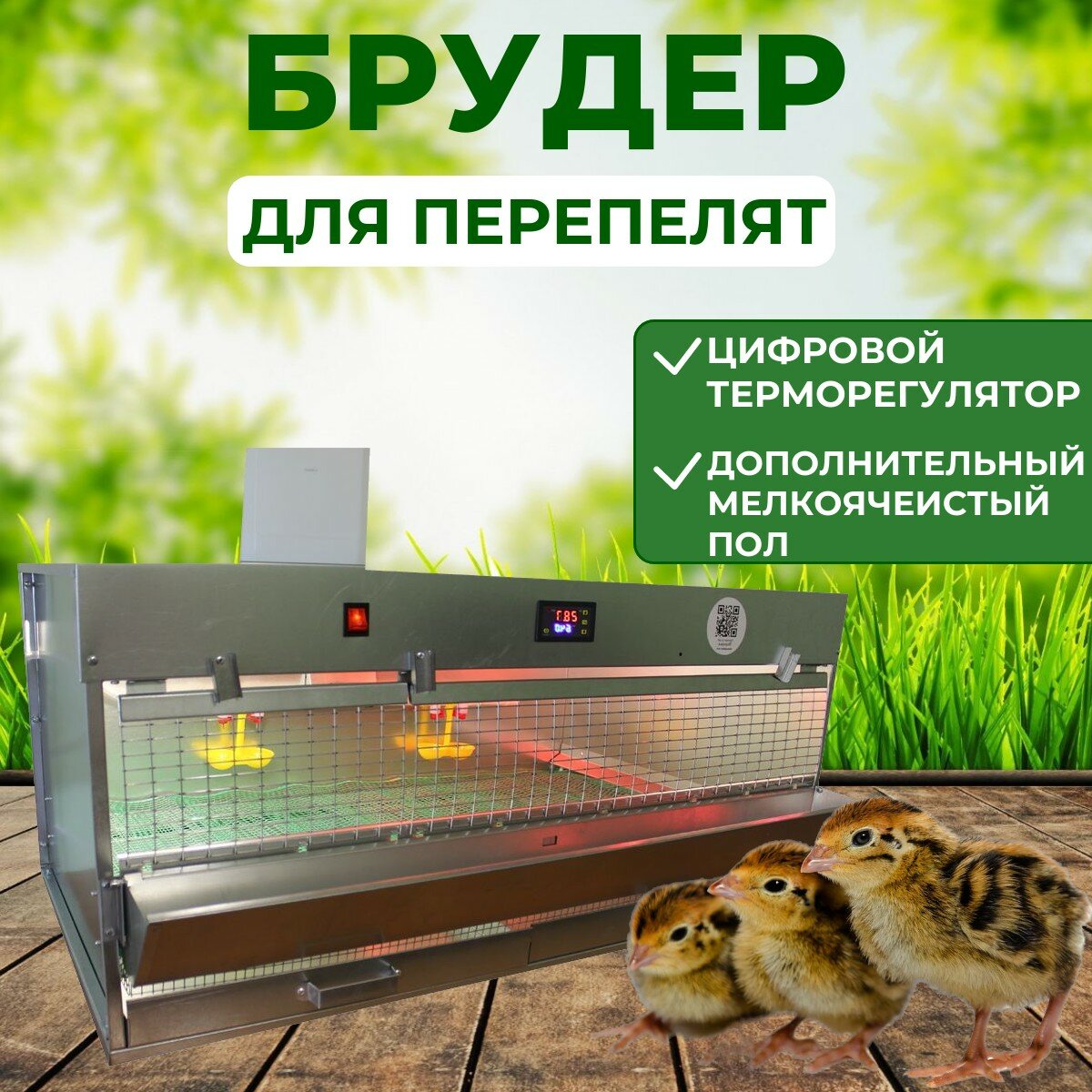 Брудер для перепелов автоматический на 120 голов Подворье
