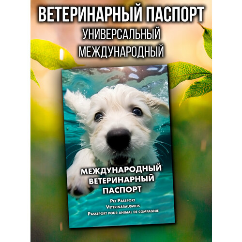 Ветеринарный паспорт для кошек и собак международный