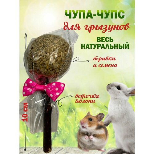 Лакомство для грызунов