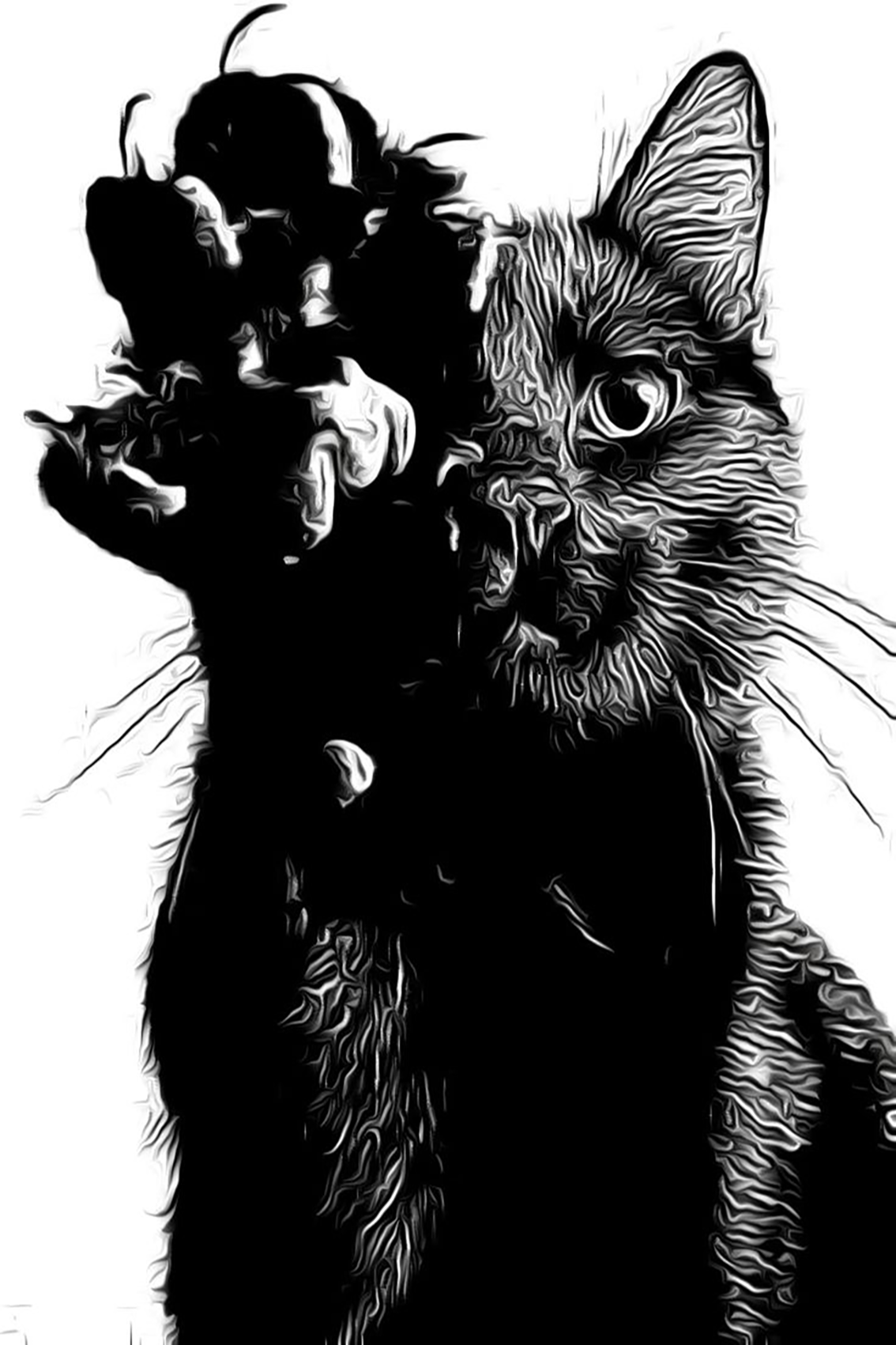 Черный кот рисунок